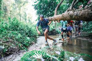 BIB: 
                            <button type="button" onclick="openModal(25464337)" class="btn btn-primary btn-sm float-right btn-popup" data-toggle="modal" data-target=".modal-high-quality">
                        <i class="fas fa-shopping-cart"></i> Add to Cart
                    </button>
                                            <button type="button" onclick="isThisMe(25464337, true)" class="btn btn-success btn-sm float-right btn-popup btn-isme hidden" data-toggle="tooltip" data-placement="bottom" title="นี่คือรูปของคุณใช่ไหม คลิกที่นี่เพื่อเอาเข้าอัลบั้ม">
                        <i class="fas fa-plus"></i> Add to album
                    </button>
                    <button type="button" onclick="isThisMe(25464337, false)" class="btn btn-warning btn-sm float-right btn-popup btn-isnotme hidden">
                        <i class="fas fa-ban"></i> Remove from album
                    </button>